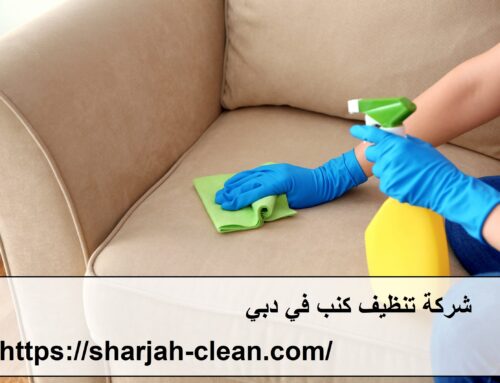 شركة تنظيف كنب في دبي |0502018456| تنظيف بالبخار
