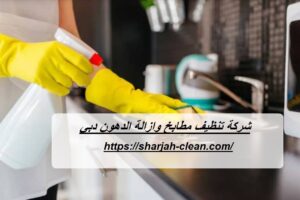 شركة تنظيف مطابخ وازالة الدهون دبي