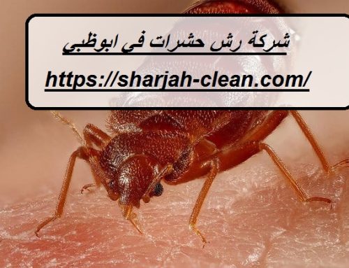شركة رش حشرات في ابوظبي |0502018456| مكافحة الحشرات