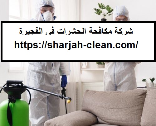 شركة مكافحة الحشرات في الفجيرة